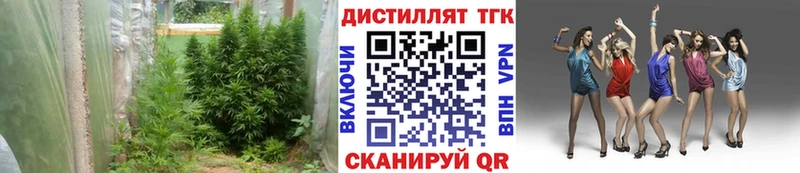 Дистиллят ТГК вейп Красноперекопск