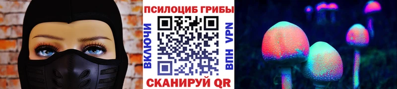 Купить где  Красноперекопск  Галлюциногенные грибы Cubensis 